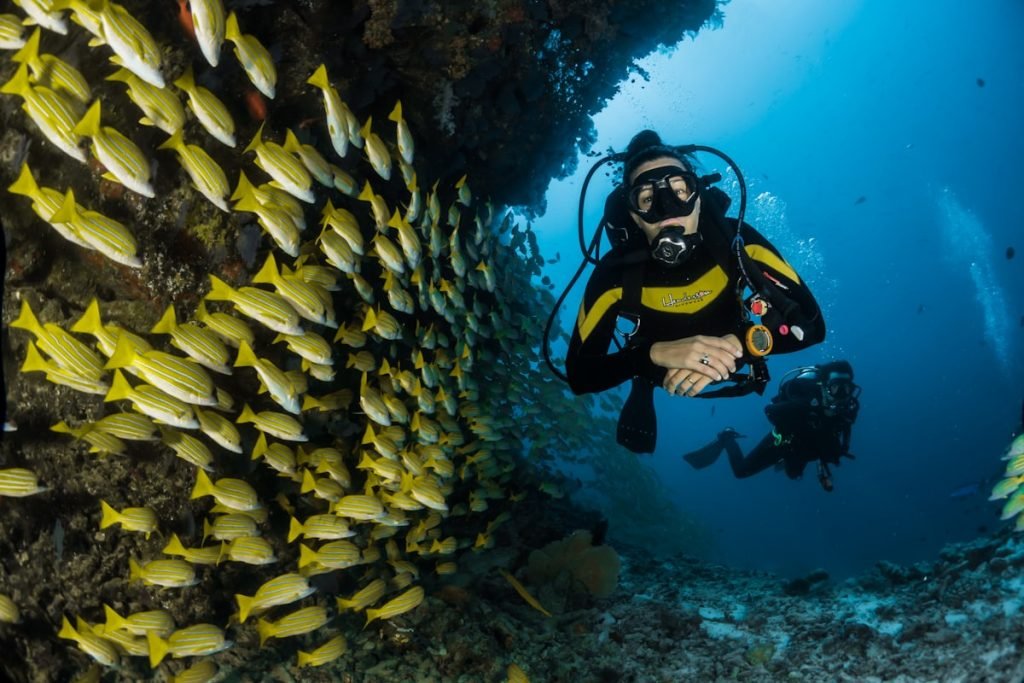 Andaman Cruise & Luxury Island Gateway
